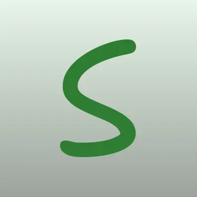 SkySend, сеть платежных терминалов, лого-визитка